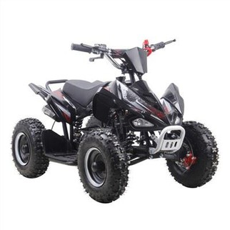 49cc เด็ก ATV Quad Bike